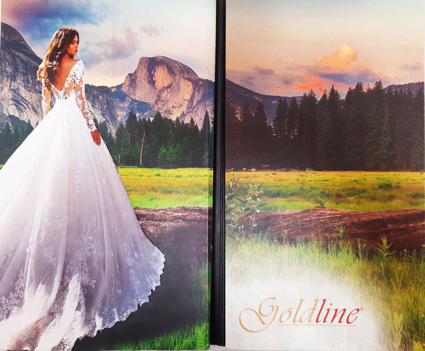 Євросітка Goldline